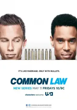 Общее дело / Common Law (2012) cериал скачать через торрет бесплатно в хорошем качестве