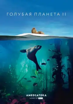 Голубая планета 2 / BBC Earth Blue Planet II (2017) cериал скачать через торрет бесплатно в хорошем качестве
