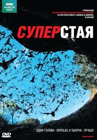 BBC: Суперстая / SuperSwarm: Nature's Incredible Invasions (2009) cериал скачать через торрет бесплатно в хорошем качестве