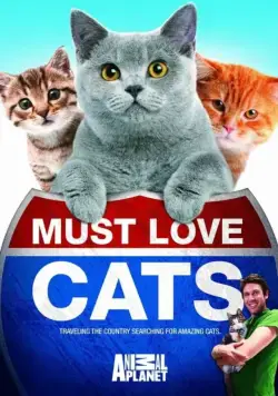 Кошек не любить нельзя / Must Love Cats (2011) cериал скачать через торрет бесплатно в хорошем качестве