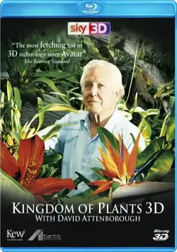 В королевстве растений / Kingdom of Plants 3D (2012) cериал скачать через торрет бесплатно в хорошем качестве