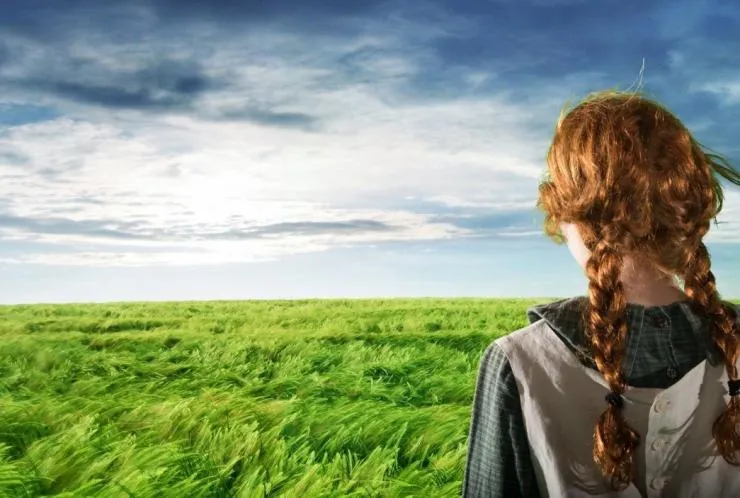 Энн (2017) 1-3 сезон 1-8,9,10 серия скачать торрент файл Энн (2017) сериал 1-8,9,10 серию 1-3 сезона скачать торрент файл