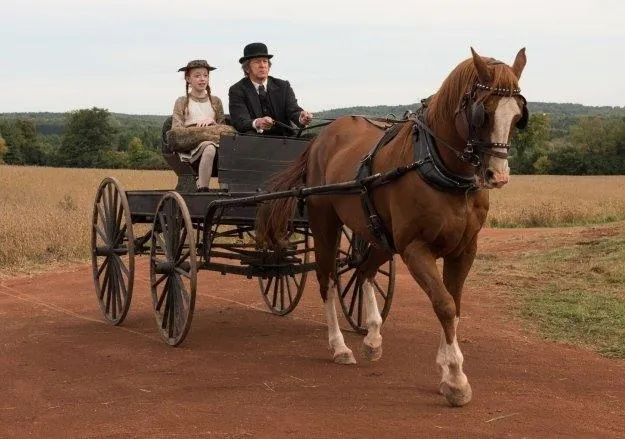 Энн (2017) 1-3 сезон 1-8,9,10 серия скачать торрент бесплатно Энн (2017) сериал 1-8,9,10 серию 1-3 сезона скачать торрент бесплатно