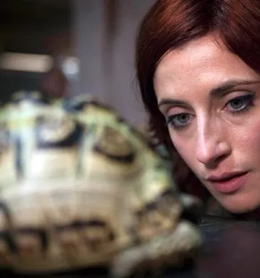 Отбросы (2009) 1-5 сезон 1-6,7,8 серия скачать торрент файл Отбросы (2009) сериал 1-6,7,8 серию 1-5 сезона скачать торрент файл