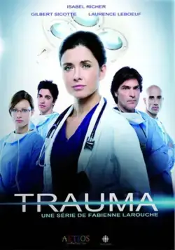 Травма / Trauma (2010) cериал скачать через торрет бесплатно в хорошем качестве