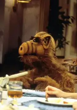 Альф (1986) 1-4 сезон 1-22,23,24 серия в хорошем качестве скачать торрент файл Альф (1986) сериал 1-22,23,24 серию 1-4 сезона в хорошем качестве скачать торрент файл