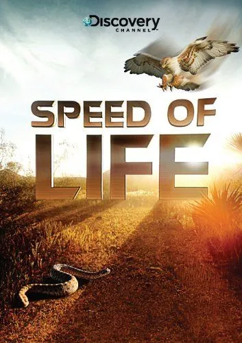 Discovery: Скорость жизни / Speed of Life (2010) cериал скачать через торрет бесплатно в хорошем качестве