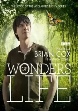Чудеса жизни / Wonders of Life (2013) cериал скачать через торрет бесплатно в хорошем качестве