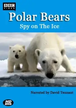 Белый медведь: Шпион во льдах / Polar Bears: Spy on the Ice (2011) cериал скачать через торрет бесплатно в хорошем качестве