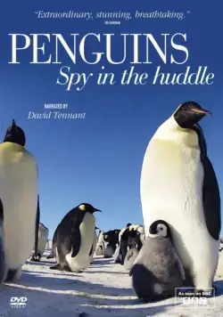 Пингвины: Шпион в толпе / Penguins: Spy in the Huddle (2013) cериал скачать через торрет бесплатно в хорошем качестве