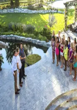 Нереальный холостяк (2015) 1-4 сезон 1-6,7,8 серия в хорошем качестве скачать торрент файл Нереальный холостяк (2015) сериал 1-6,7,8 серию 1-4 сезона в хорошем качестве скачать торрент файл