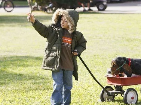 Бывает и хуже (2009) 1-9 сезон 1-22,23,24 серия скачать торрент файл Бывает и хуже (2009) сериал 1-22,23,24 серию 1-9 сезона скачать торрент файл