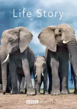 История жизни / Life Story (2014) сериал скачать через торрет бесплатно в хорошем качестве