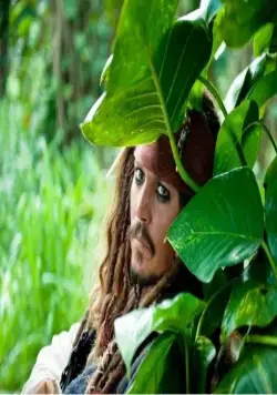 Пираты Карибского моря: На странных берегах (2011) в хорошем качестве скачать торрент файл Пираты Карибского моря: На странных берегах (2011) фильм в хорошем качестве скачать торрент файл