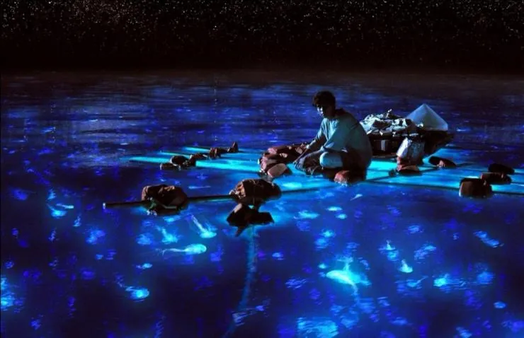 Жизнь Пи (2012) скачать торрент файл Жизнь Пи (2012) фильм скачать торрент файл