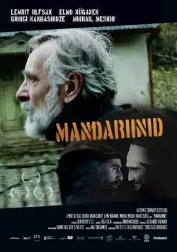 Мандарины / Mandariinid (2013) фильм скачать через торрет бесплатно в хорошем качестве