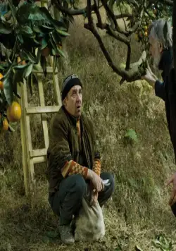 Мандарины (2013) в хорошем качестве скачать торрент файл Мандарины (2013) фильм в хорошем качестве скачать торрент файл