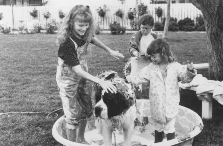 Бетховен (1992) скачать торрент файл Бетховен (1992) фильм скачать торрент файл