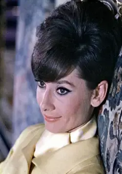 Как украсть миллион (1966) в хорошем качестве скачать торрент файл Как украсть миллион (1966) фильм в хорошем качестве скачать торрент файл