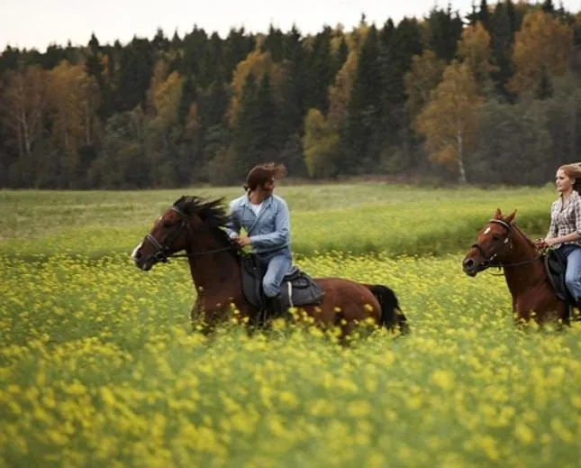 Цветок дьявола (2010) скачать торрент файл Цветок дьявола (2010) фильм скачать торрент файл