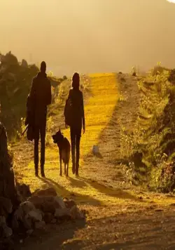 Изумрудный город (2016) 1 сезон 1-8,9,10 серия скачать торрент файл Изумрудный город (2016) сериал 1-8,9,10 серию 1 сезона скачать торрент файл