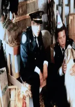 Полицейская академия 5: Место назначения – Майами Бич (1988) скачать торрент файл Полицейская академия 5: Место назначения – Майами Бич (1988) фильм скачать торрент файл