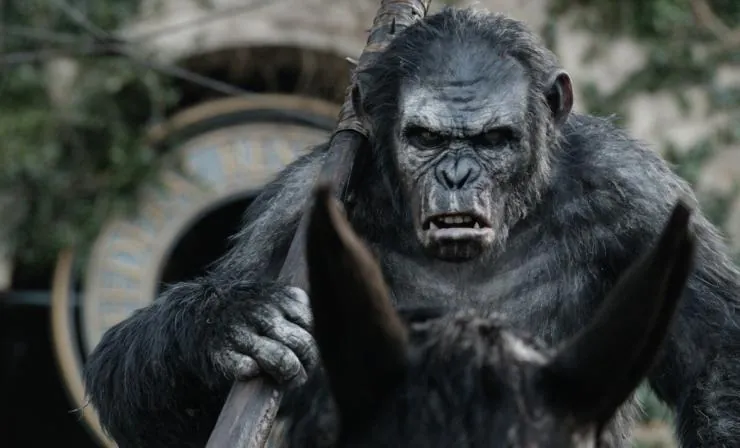 Планета обезьян: Революция (2014) в хорошем качестве скачать торрент файл Планета обезьян: Революция (2014) фильм в хорошем качестве скачать торрент файл