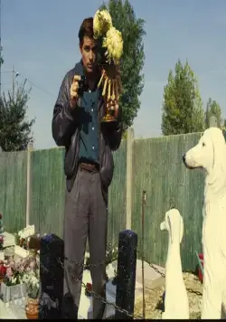 Милая ложь (1987) скачать торрент бесплатно Милая ложь (1987) фильм скачать торрент бесплатно