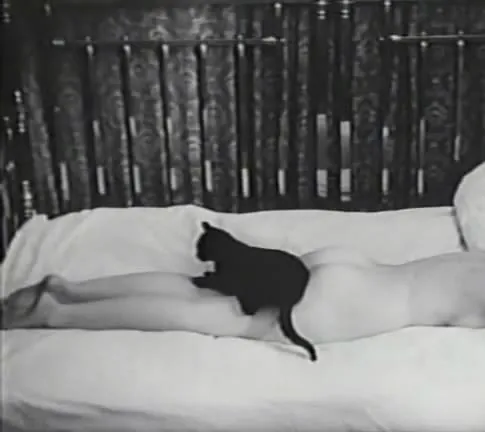 Любовный случай, или Трагедия служащей почтово-телеграфного узла (1966) скачать торрент файл Любовный случай, или Трагедия служащей почтово-телеграфного узла (1966) фильм скачать торрент файл