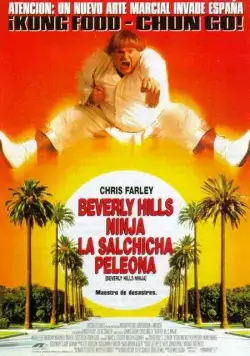 Ниндзя из Беверли Хиллз / Beverly Hills Ninja (1997) фильм скачать через торрет бесплатно в хорошем качестве