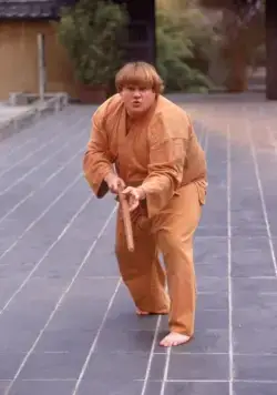 Ниндзя из Беверли Хиллз (1997) скачать торрент бесплатно Ниндзя из Беверли Хиллз (1997) фильм скачать торрент бесплатно