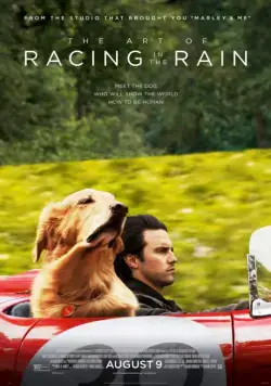 Невероятный мир глазами Энцо / The Art of Racing in the Rain (2019) фильм скачать через торрет бесплатно в хорошем качестве