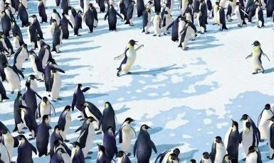 Делай ноги (2006) скачать торрент файл Делай ноги (2006) мультфильм скачать торрент файл