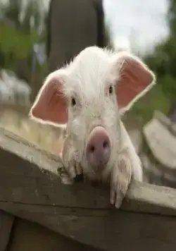 Моя ужасная няня 2 (2012) в хорошем качестве скачать торрент файл Моя ужасная няня 2 (2012) фильм в хорошем качестве скачать торрент файл