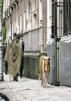 Лэсси (2005) скачать торрент бесплатно Лэсси (2005) фильм скачать торрент бесплатно