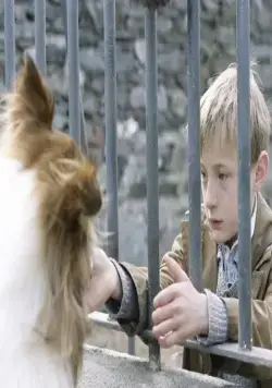 Лэсси (2005) скачать торрент файл Лэсси (2005) фильм скачать торрент файл