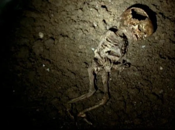 Омен (2006) в хорошем качестве скачать торрент файл Омен (2006) фильм в хорошем качестве скачать торрент файл