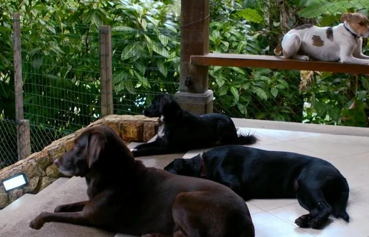 Citizenfour: Правда Сноудена (2014) скачать торрент файл Citizenfour: Правда Сноудена (2014) фильм скачать торрент файл