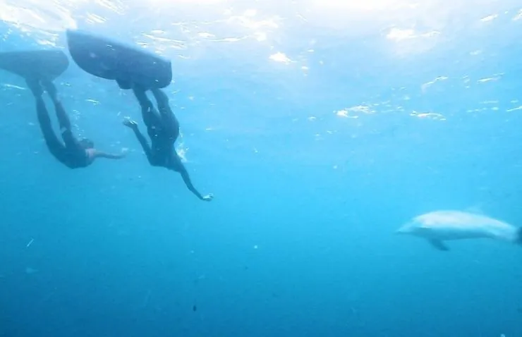 Рожденные свободными (2016) скачать торрент бесплатно Рожденные свободными (2016) фильм скачать торрент бесплатно