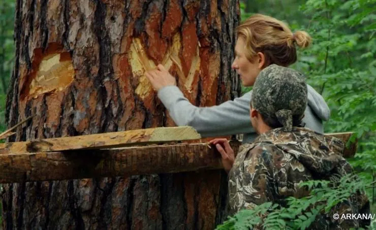 Охотники за медом (2016) скачать торрент бесплатно Охотники за медом (2016) фильм скачать торрент бесплатно