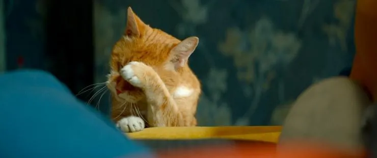 Домовой (2019) скачать торрент бесплатно Домовой (2019) фильм скачать торрент бесплатно