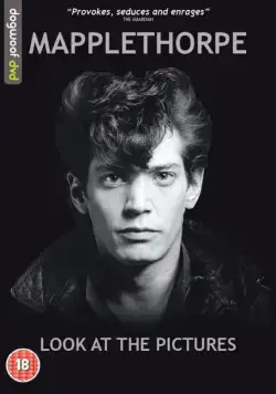 Мэпплторп: только полюбуйтесь / Mapplethorpe: Look at the Pictures (2016) фильм скачать через торрет бесплатно в хорошем качестве