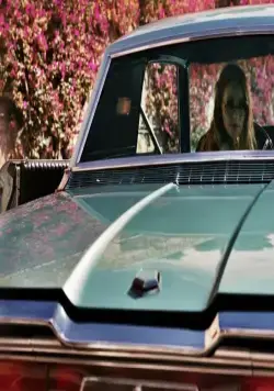 Дама в очках и с ружьем в автомобиле (2015) в хорошем качестве скачать торрент файл Дама в очках и с ружьем в автомобиле (2015) фильм в хорошем качестве скачать торрент файл