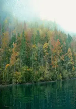 Зелёная планета (2012) в хорошем качестве скачать торрент файл Зелёная планета (2012) фильм в хорошем качестве скачать торрент файл