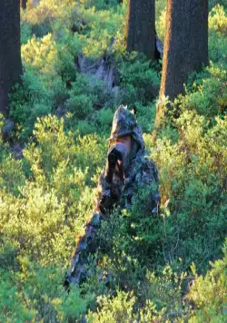 Зелёная планета (2012) скачать торрент бесплатно Зелёная планета (2012) фильм скачать торрент бесплатно