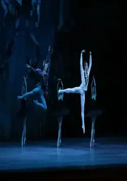 Лебединое озеро (2014) в хорошем качестве скачать торрент файл Лебединое озеро (2014) фильм в хорошем качестве скачать торрент файл