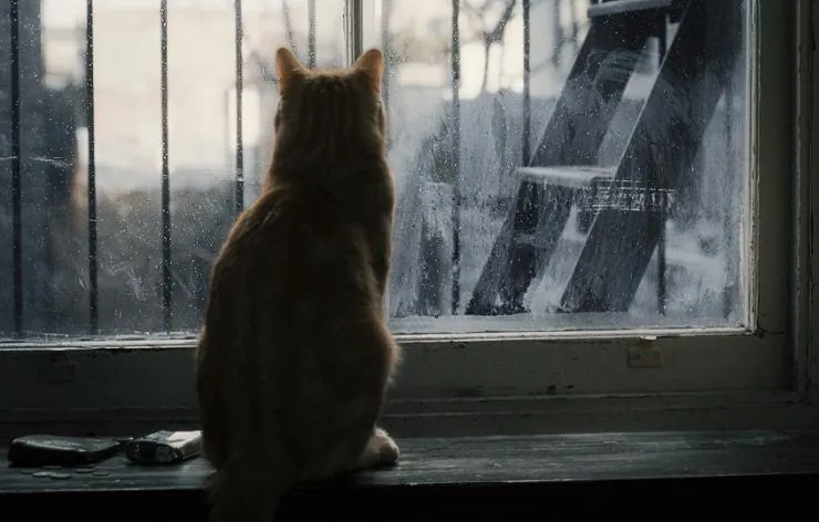 Внутри Льюина Дэвиса (2012) скачать торрент бесплатно Внутри Льюина Дэвиса (2012) фильм скачать торрент бесплатно