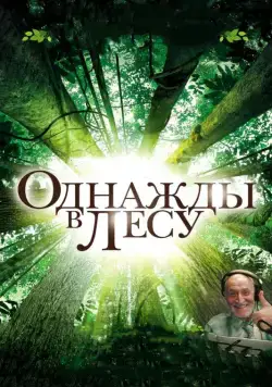 Однажды в лесу / Once in the Forest (2013) фильм скачать через торрет бесплатно в хорошем качестве