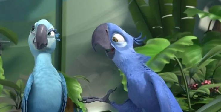 Рио 2 (2014) в хорошем качестве скачать торрент файл Рио 2 (2014) мультфильм в хорошем качестве скачать торрент файл