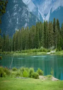 Люблю твою жену (2013) скачать торрент файл Люблю твою жену (2013) фильм скачать торрент файл